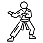 ورزش های رزمی